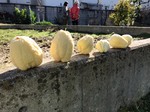 LINE_ALBUM_20211209  Վ_211216_2.jpg