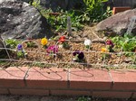 LINE_ALBUM_2022.3.27|_220412_33.jpg