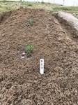 LINE_ALBUM_20230508  Վ_230511_15.jpg