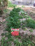 LINE_ALBUM_2023N1227_240101_33.jpg