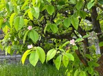 LINE_ALBUM_2024.4.17|_240419_11.jpg