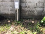 LINE_ALBUM_2024.4.17|_240419_31.jpg
