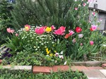 LINE_ALBUM_2024.4.17|_240419_37.jpg