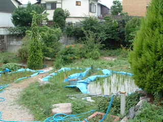2005-7-4 073.jpg