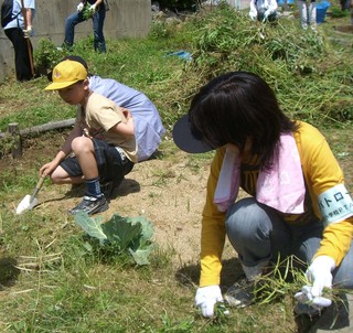 2007-5-28 草抜き1.jpg