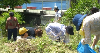 2007-5-28 草抜き2.JPG