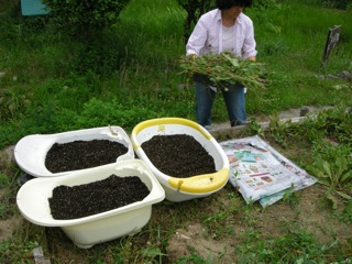 DSCN2947.jpg